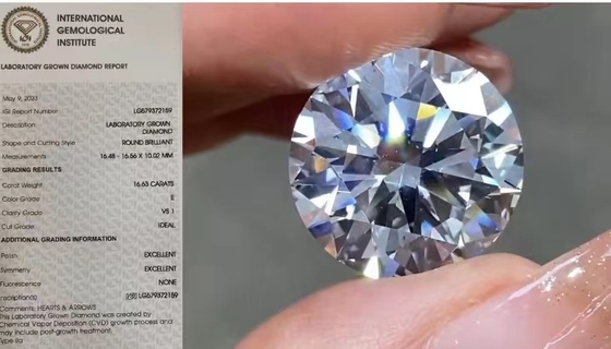 IGIの緩い実験室はE色のあたりのダイヤモンド16.63Carat VS1を作成した
